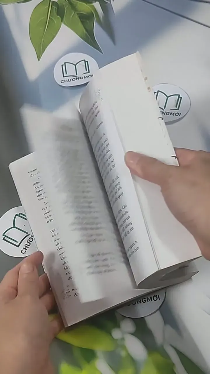 Sorry Sorry - Kim Quốc Đống 705548