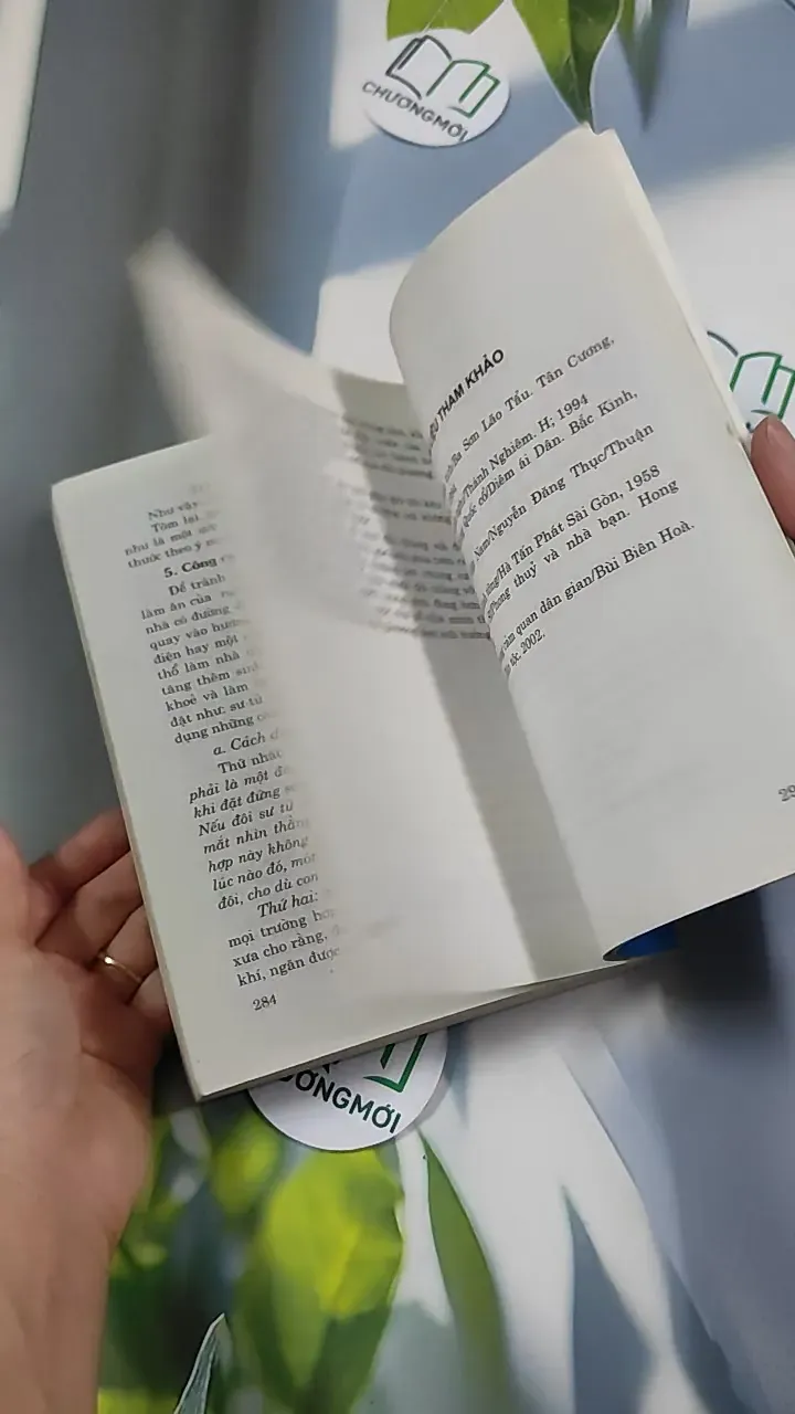 Một số phong tục nghi lễ dân gian truyền thống Việt Nam - Quảng Tuệ 776218