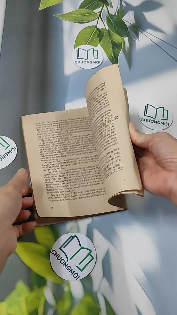 [XƯA] Việt Nam Cuộc Chiến Tranh Mười Ngàn Ngày - Hồ Sơ Mới Về Điện Biên Phủ (1989) - Michael Maclear 776008