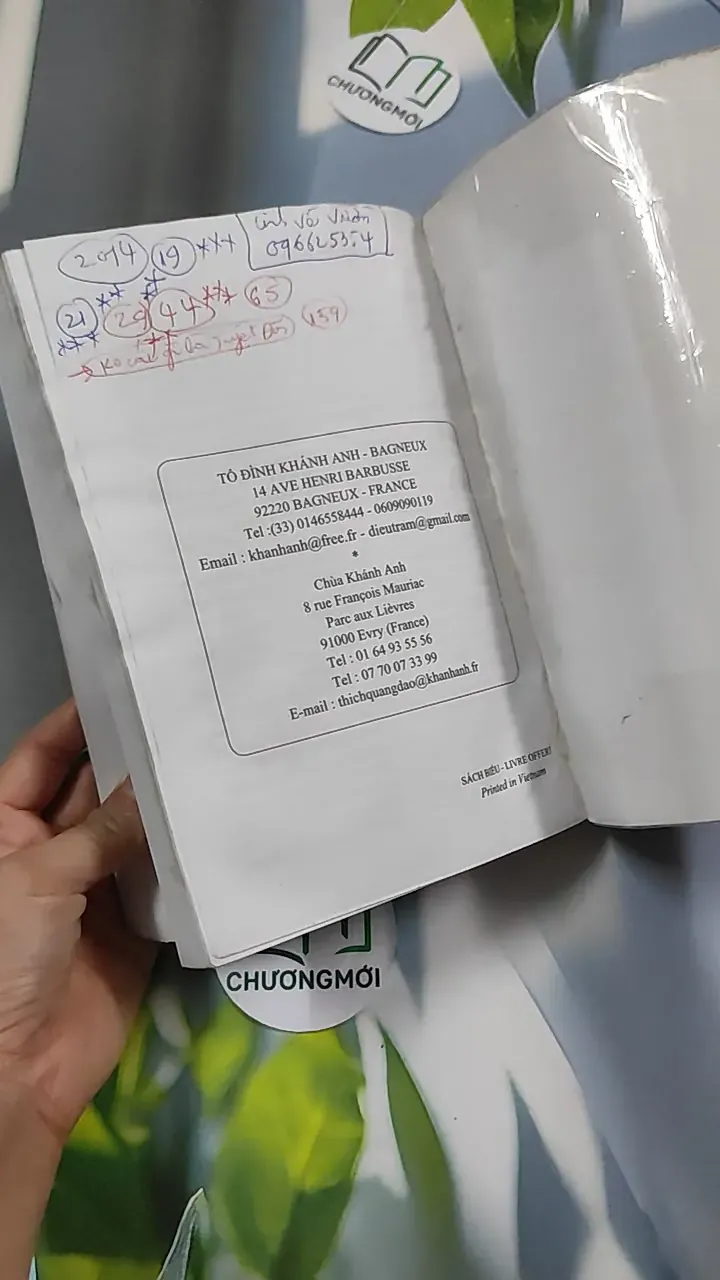 Vài câu chuyện Đạo (Song ngữ Việt - Pháp) 776202