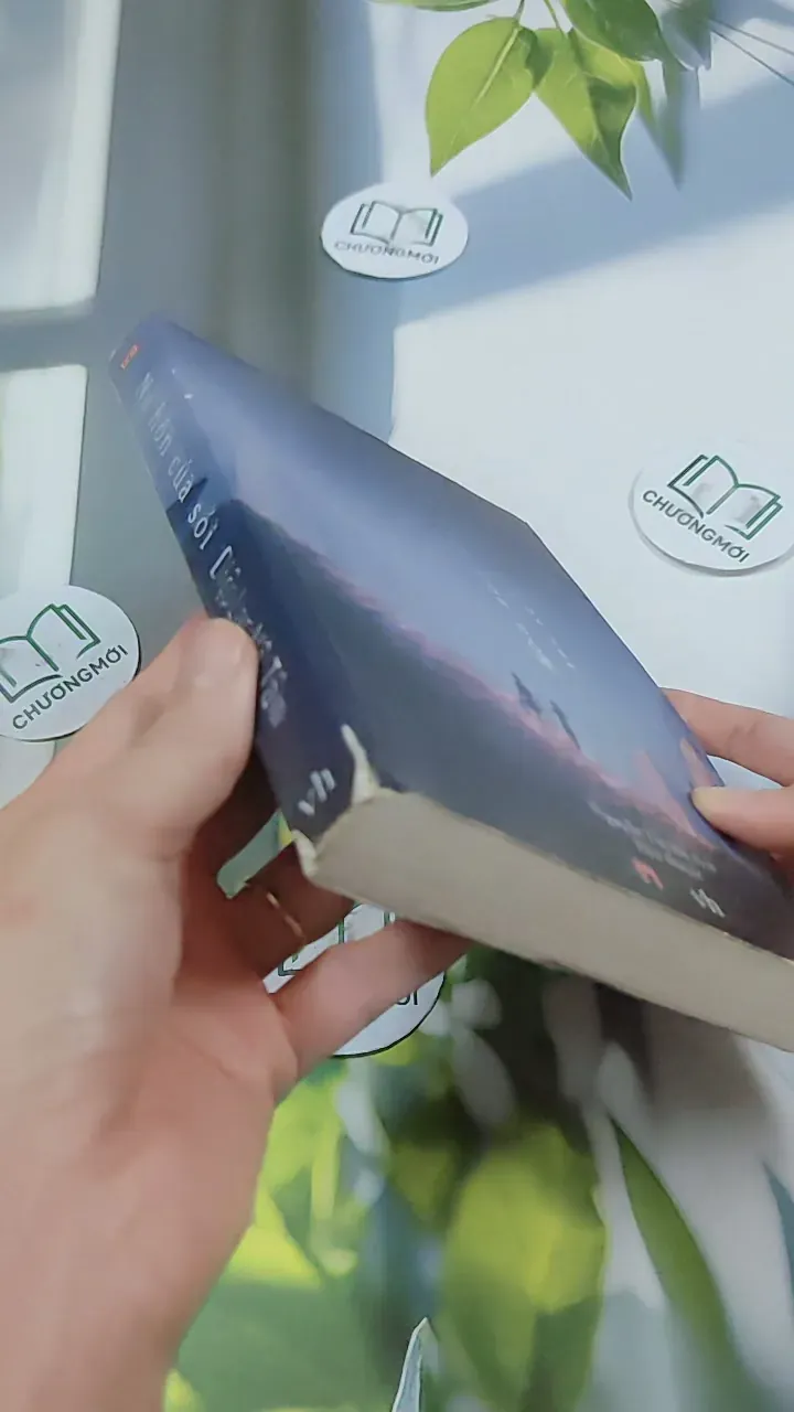 Nụ Hôn Của Sói - Diệp Lạc Vô Tâm 744744