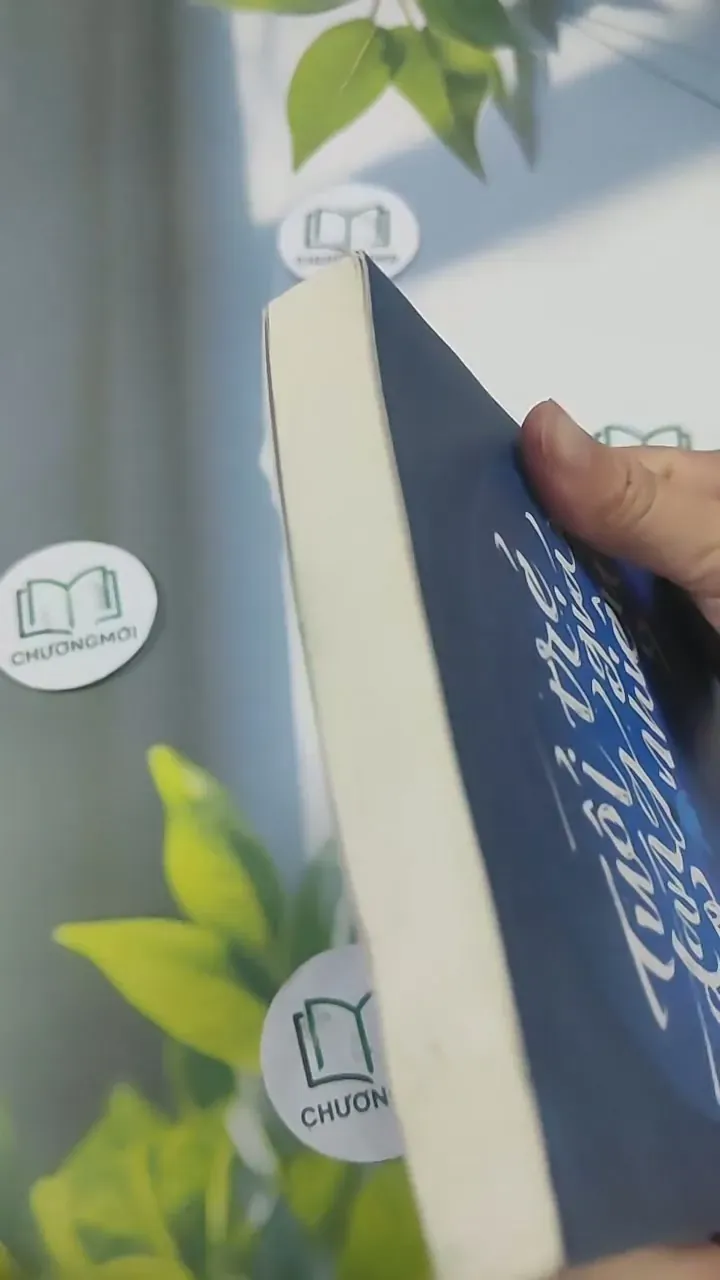 Tuổi Trẻ Đáng Giá Bao Nhiêu - Rosie Nguyễn 715611