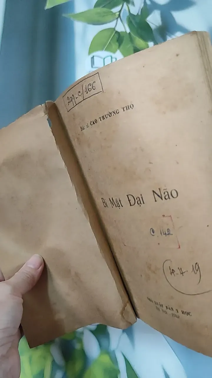 [XƯA] Bí Mật Đại Não (1982) - BS. Cao Trường Thọ 775987