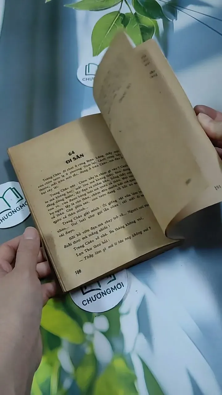 Cái Cười Của Thánh Nhân - Nguyễn Duy Cần 713889