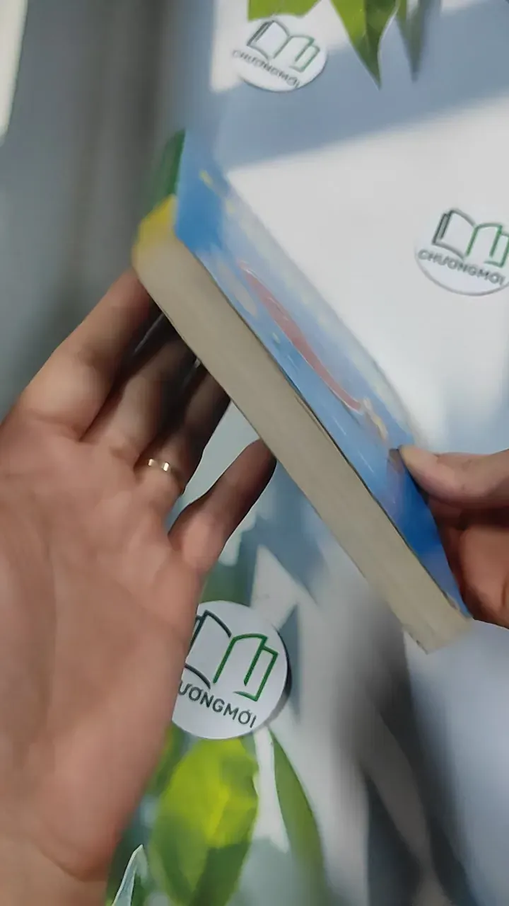 Một số phong tục nghi lễ dân gian truyền thống Việt Nam - Quảng Tuệ 776218