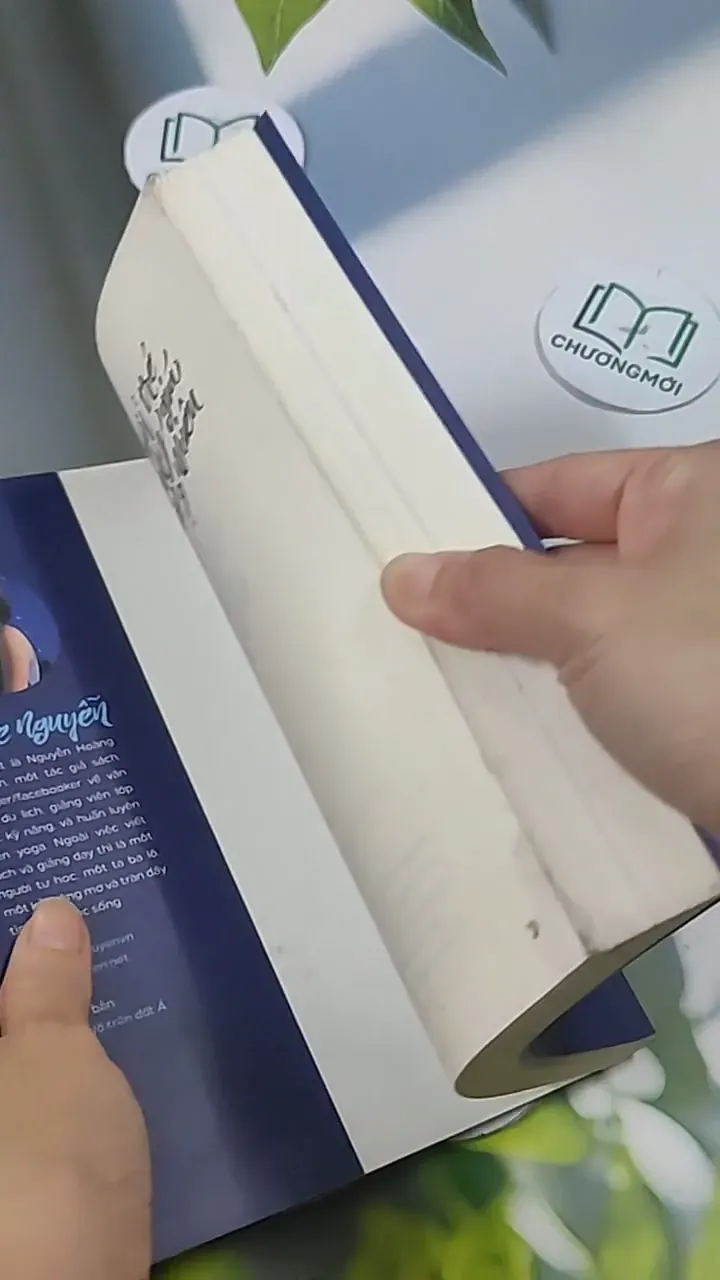 Tuổi Trẻ Đáng Giá Bao Nhiêu? 705622