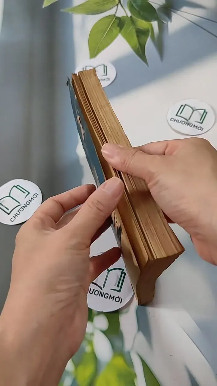 Bầu Trời Thềm Lục Địa - Trần Thanh Giao 713829