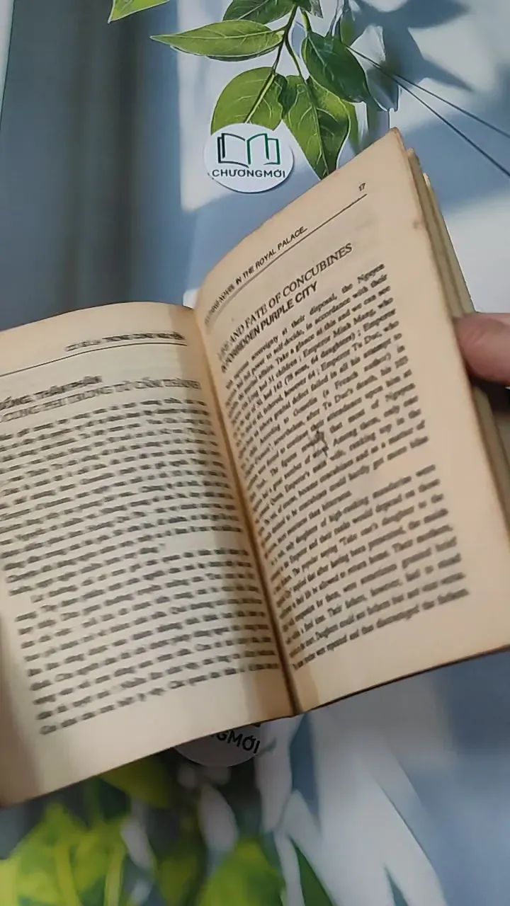[XƯA] Có Gì Lạ Trong Cung Nguyễn? (Song Ngữ) (1991) - Compilers 775977