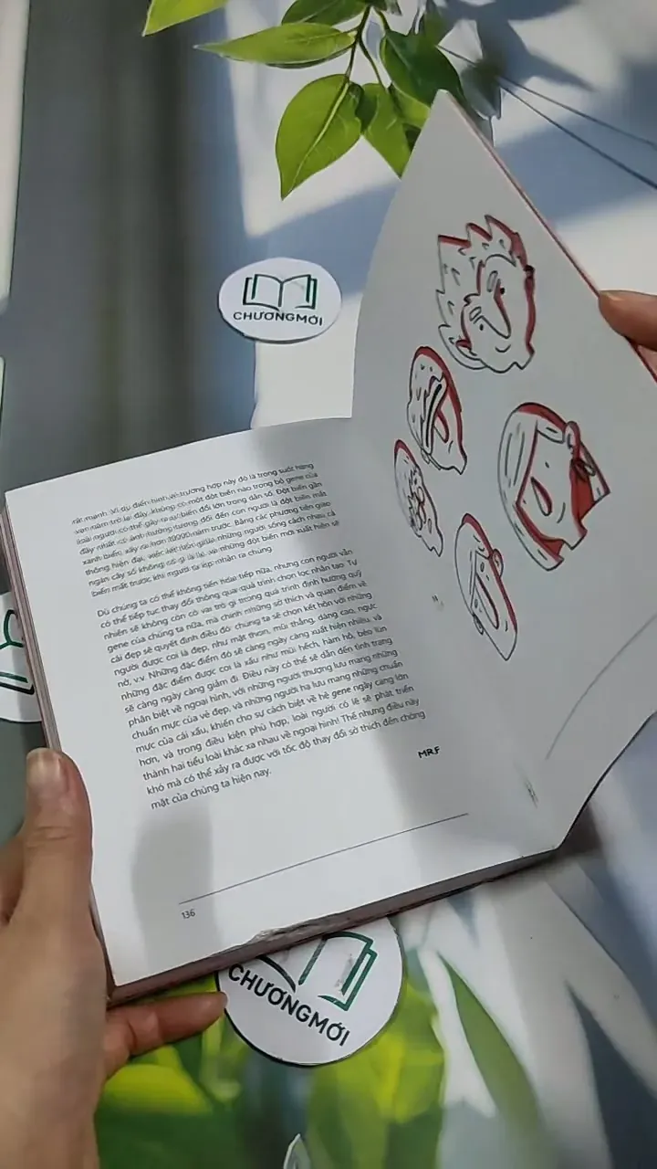 Không Có Câu Hỏi Nào Ngớ Ngẩn 705745