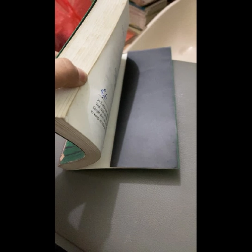 Giăng lưới bắt chim