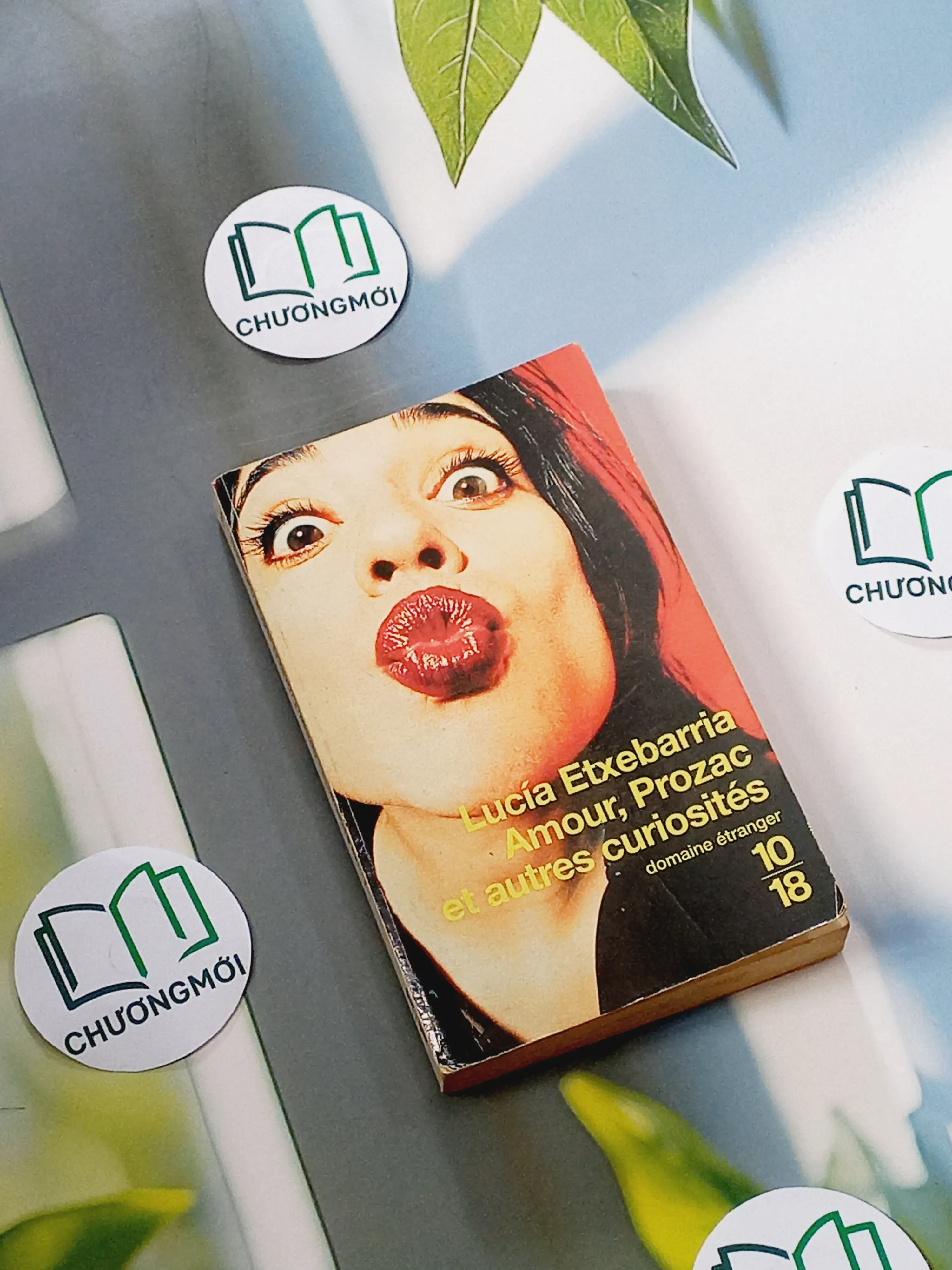 Amour, Prozac et autres curiosités - Lucía Etxebarria