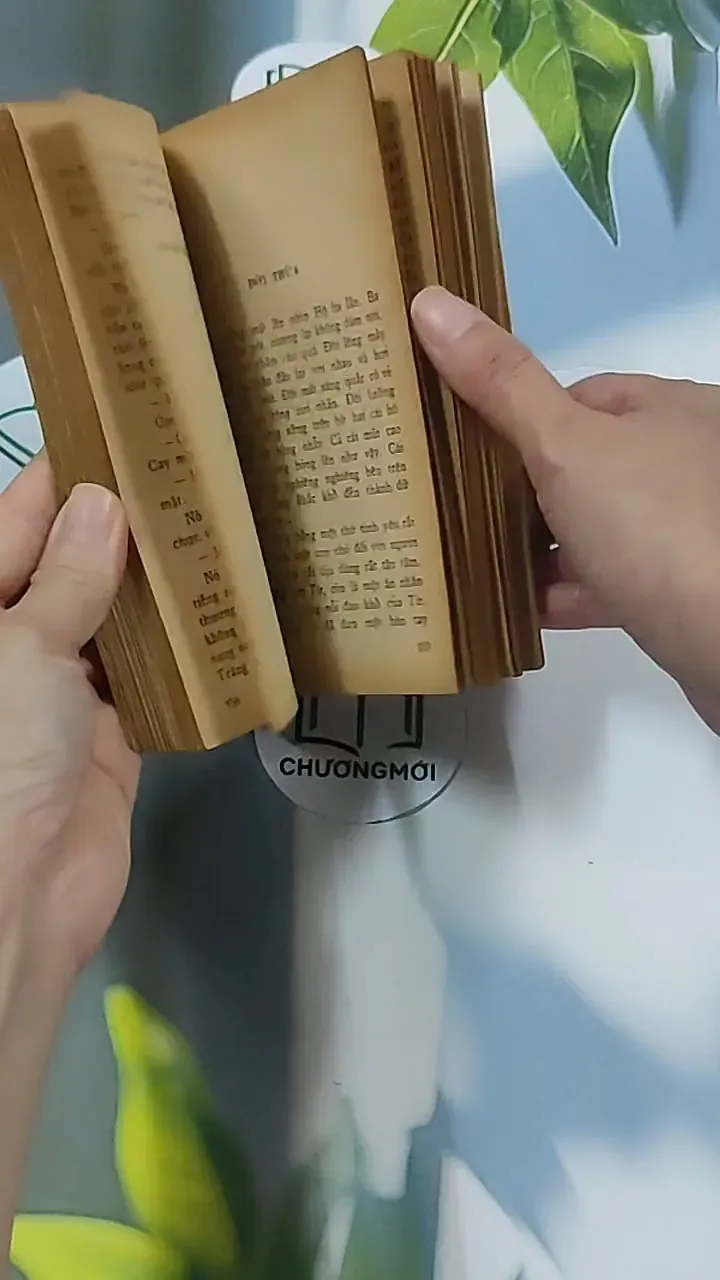 Chí Phèo (1995) - Nam Cao 674978