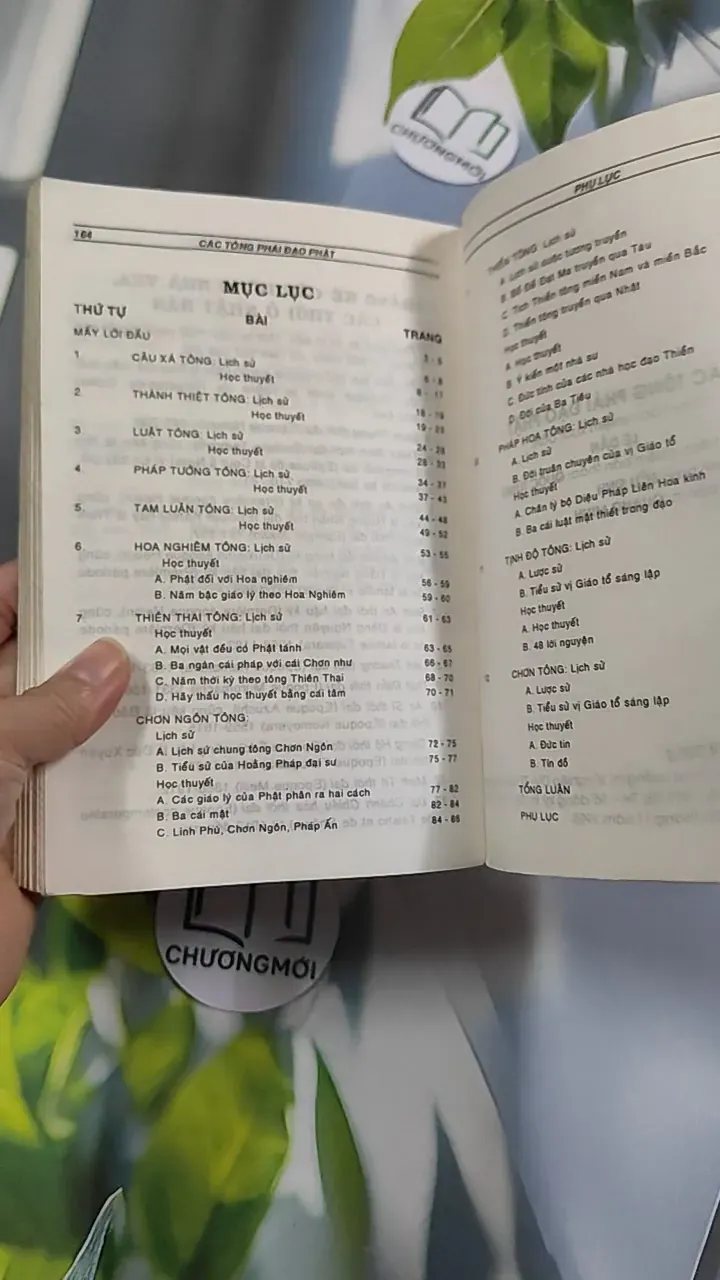 [XƯA] Các Tông Phái Đạo Phật (1995) - Đoàn Trung Còn 776150