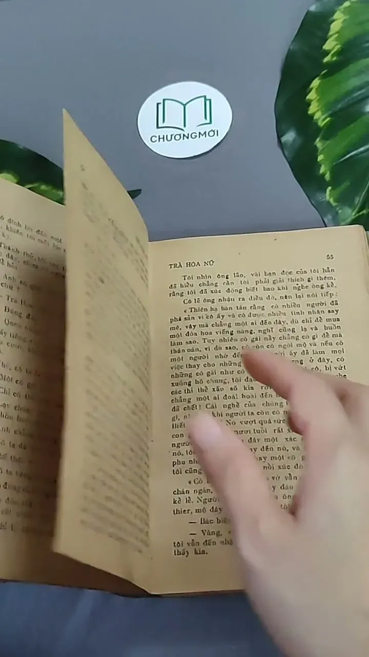 Trà Hoa Nữ 604659