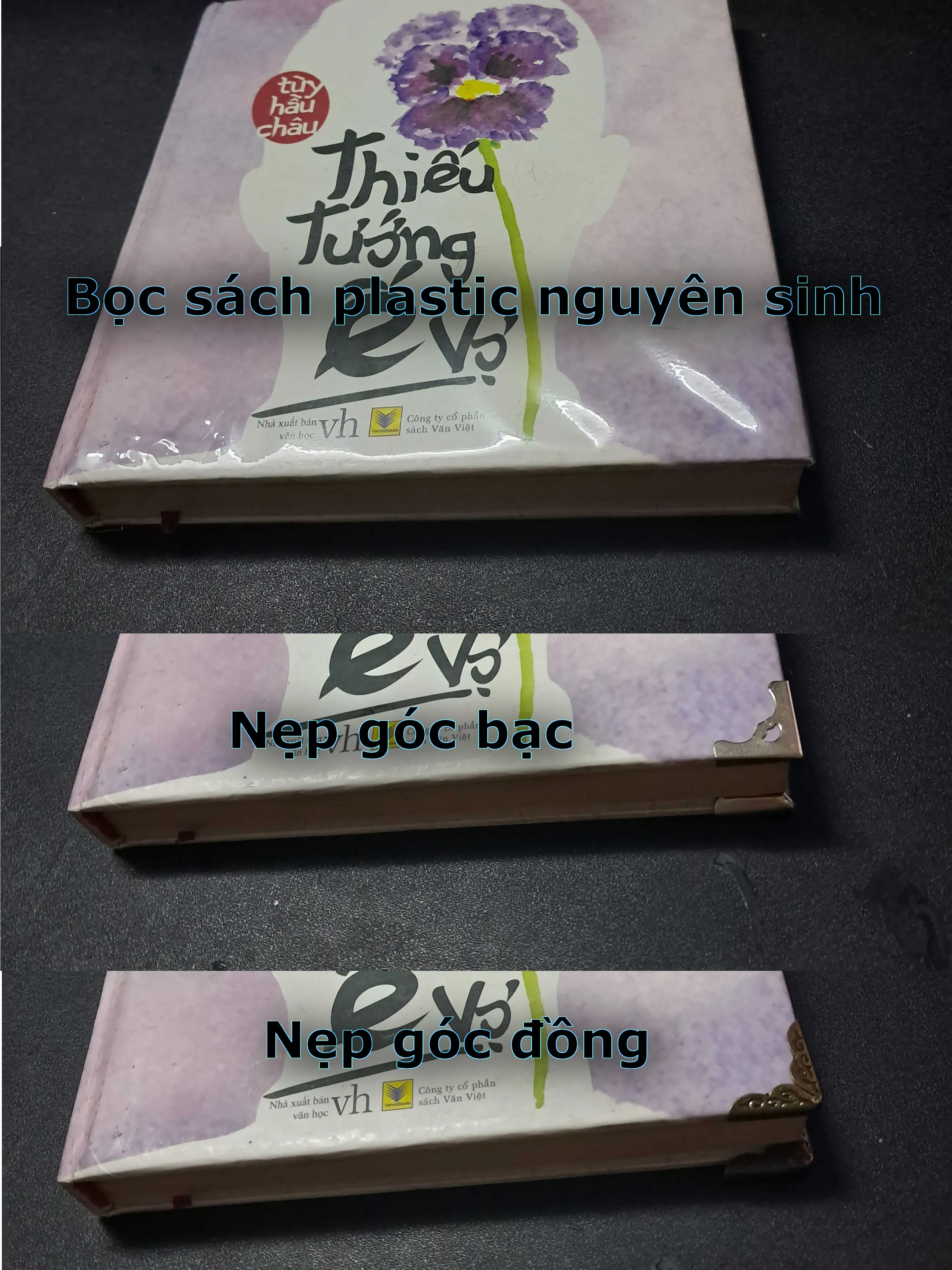 [MIỄN PHÍ BỌC SÁCH] Larousse Poche Plus Chinois 749592