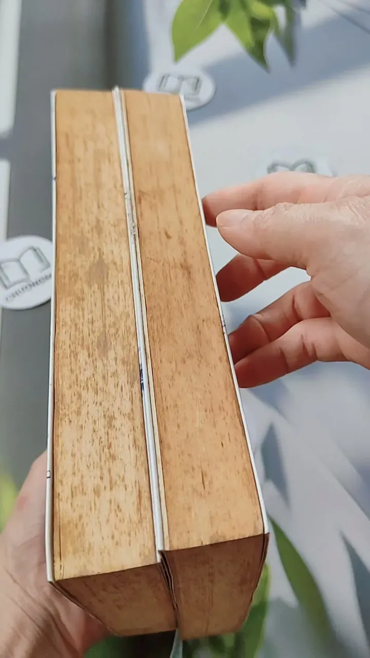 Bộ Trầm Hương Uyển - Bộ Vi Lan 744691