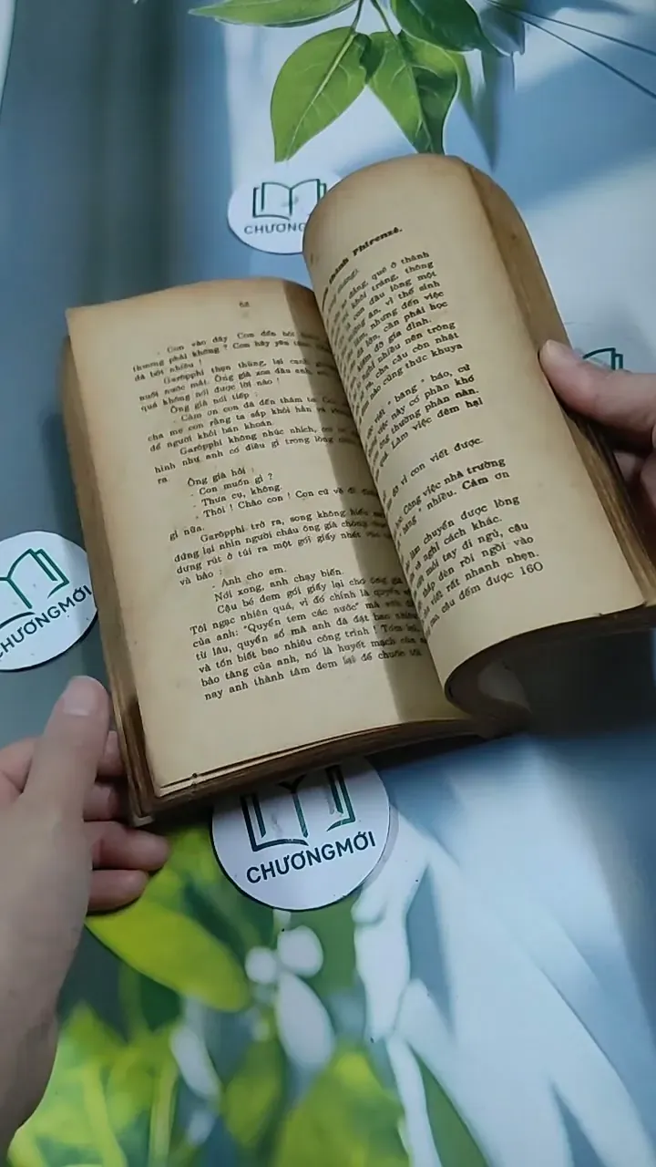 Tâm Hồn Cao Thượng (1989) 713894