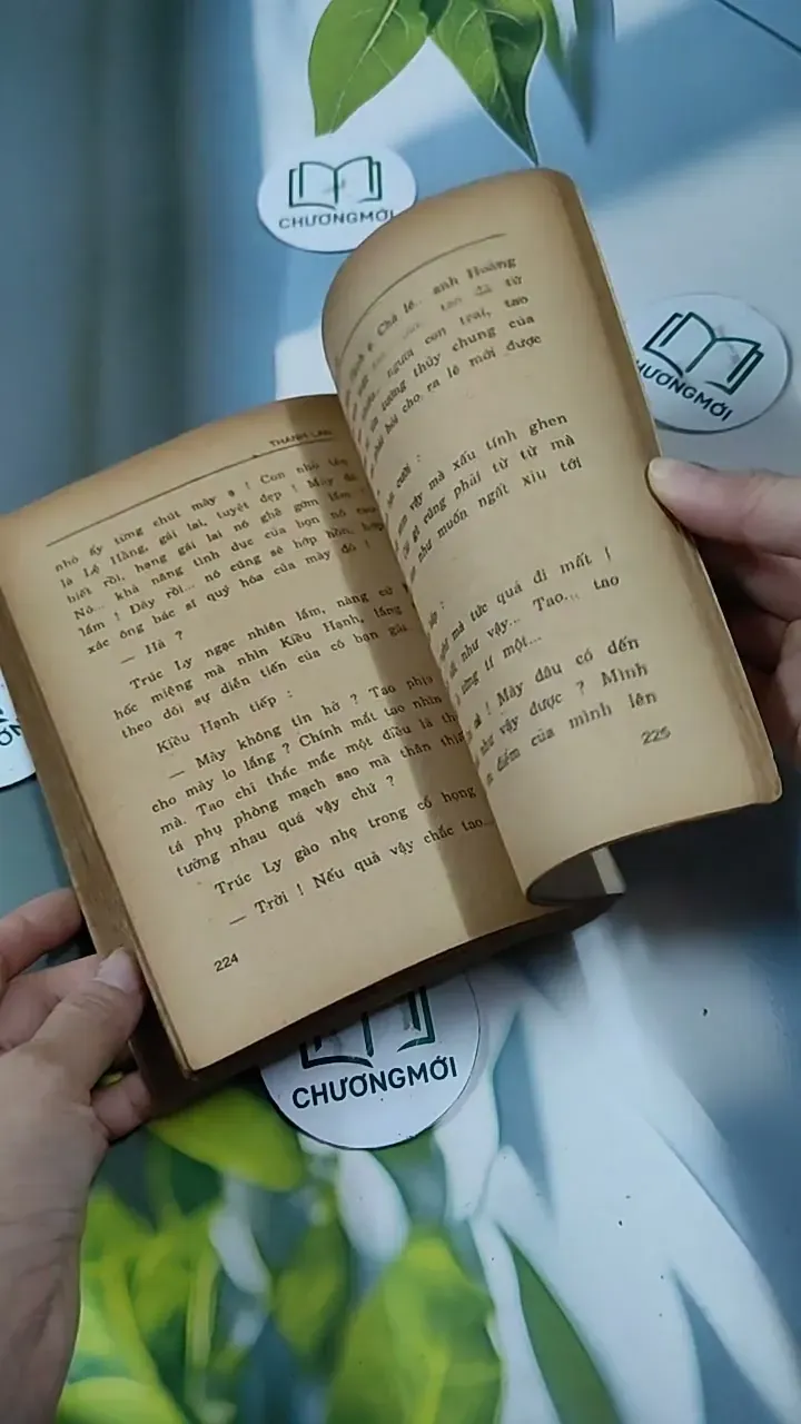 Tỳ Vết Tình Yêu - Thanh Lan 713847