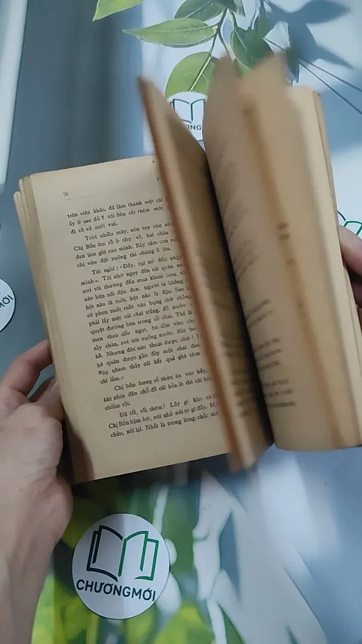 [MIỄN PHÍ BỌC SÁCH] [XƯA] Phấn Thông Vàng (1968) - Xuân Diệu 776042