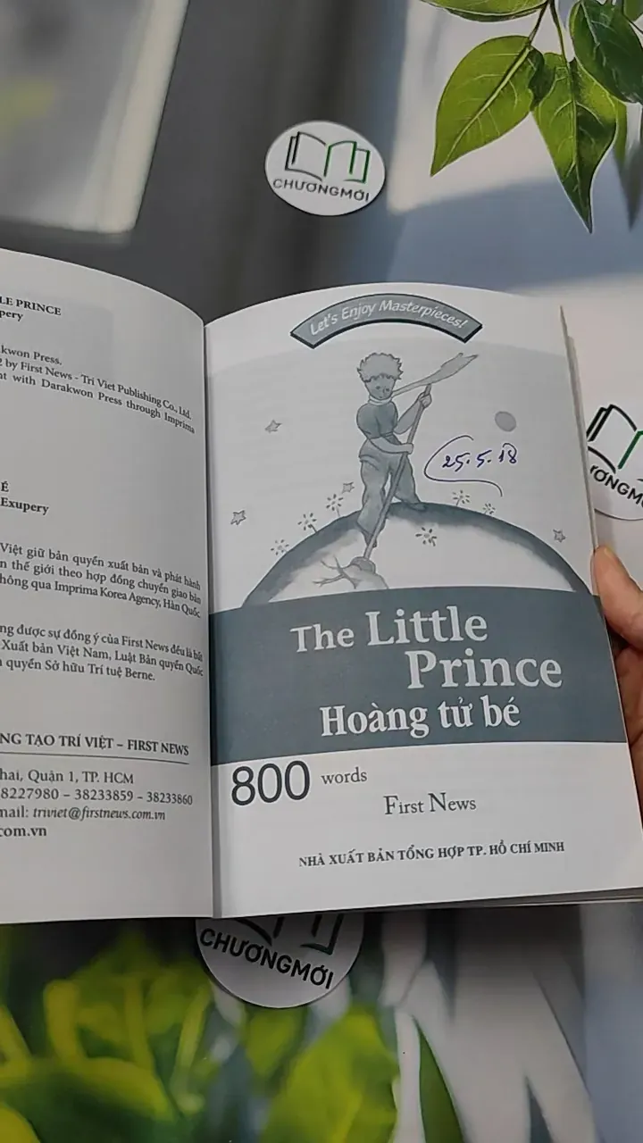 The Little Prince - 800 Words - Antoine de Saint-Exupéry 754533