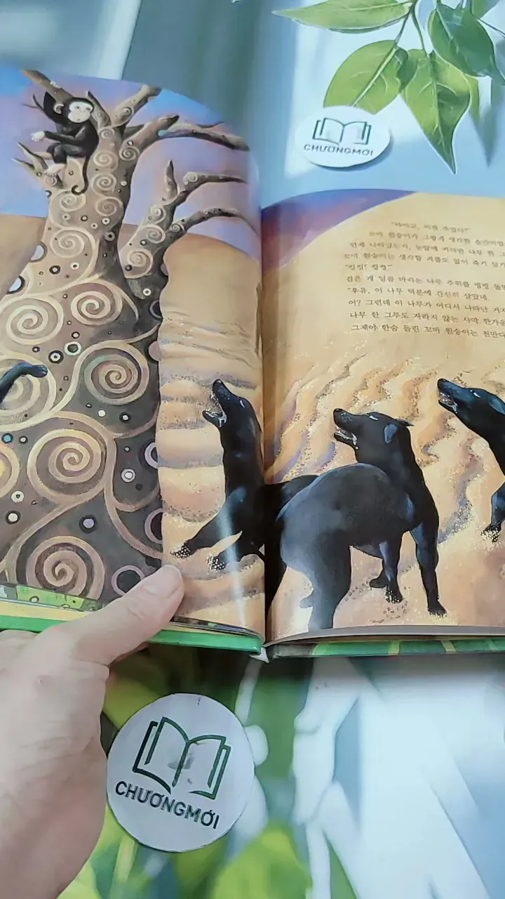 [Tặng nẹp góc] Truyện thiếu nhi Hàn Quốc: Moyamo Anu 24 -  모야모 아누와: 불행을 찾아간 원숭이;. 지혜의 열쇠 732017