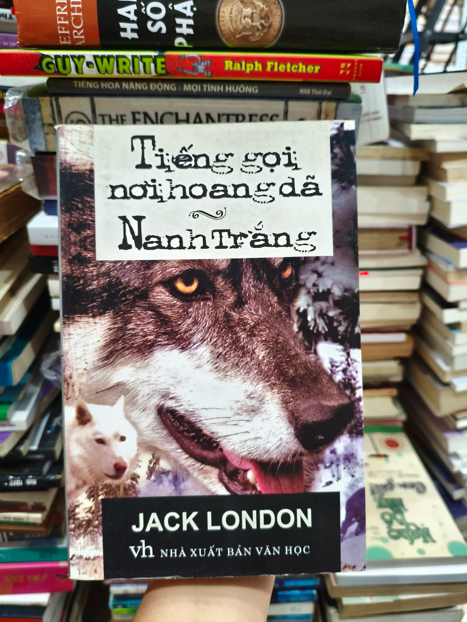 Tiếng gọi nơi hoang dã 🌱 by  - Sách Book Cover - Ngọc Hiển Books