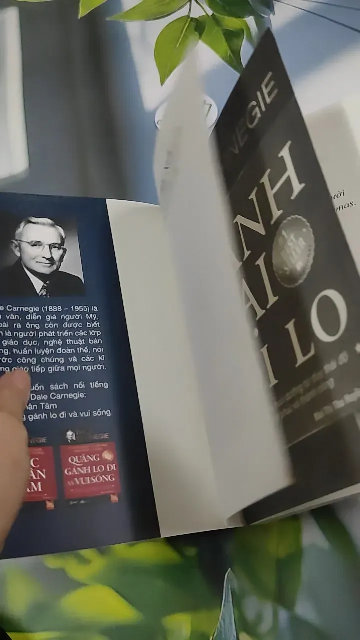 Đánh Bại Nỗi Lo - Dale Carnegie 787124