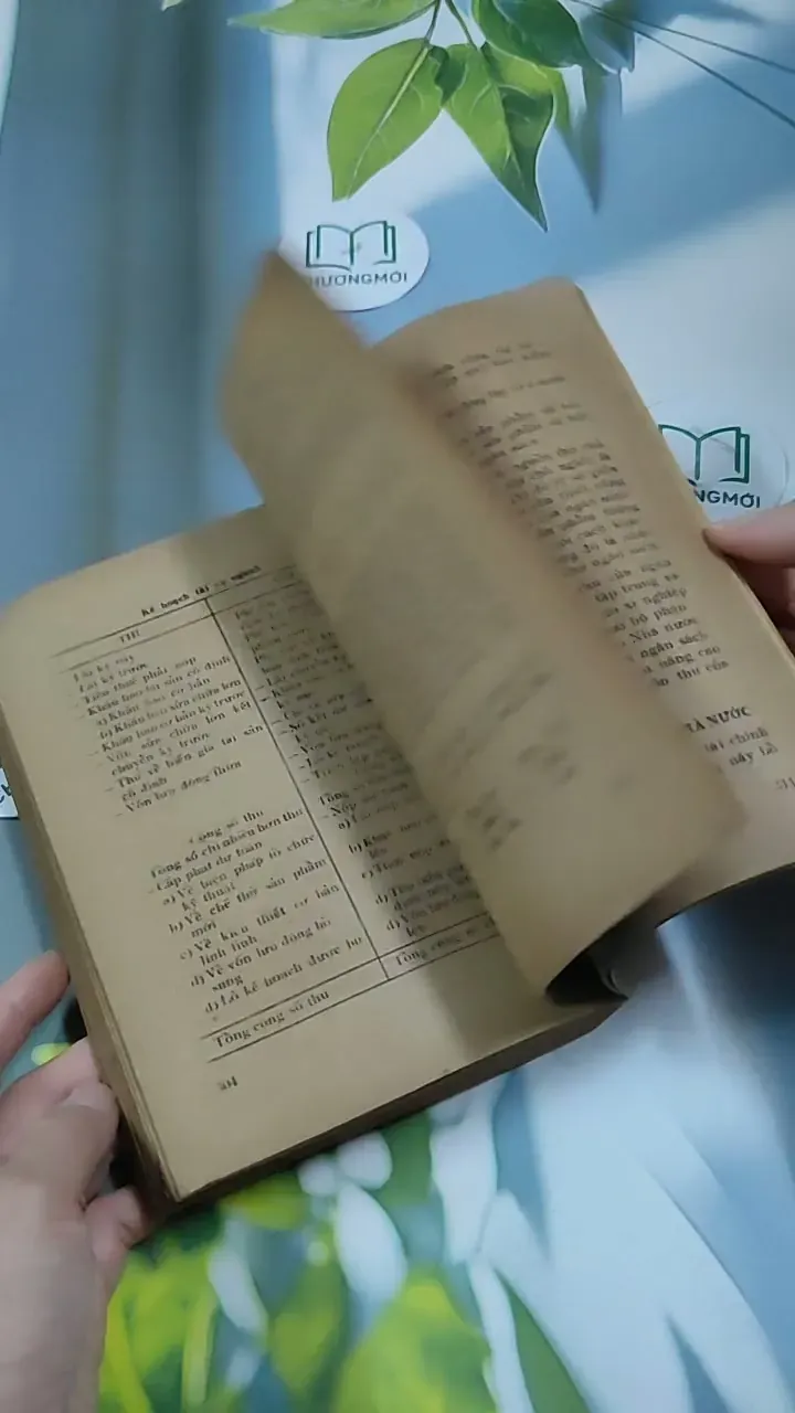 Kế Hoạch Hóa Kinh Tế Quốc Dân - Du Lô Giang 713884