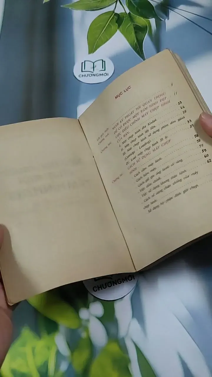 Nếu Bạn Muốn Chụp Một Tấm Hình Đẹp - Ninh Hùng 713856