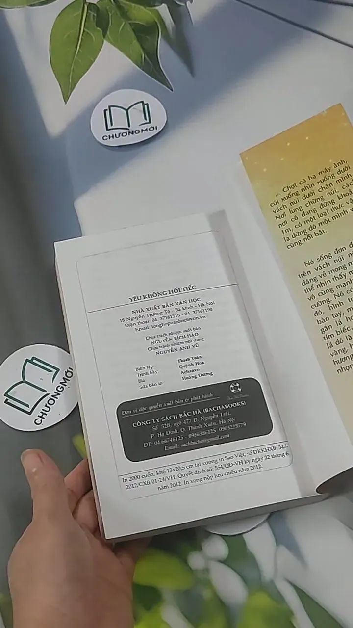 Yêu Không Hối Tiếc - Hàn Như 705549