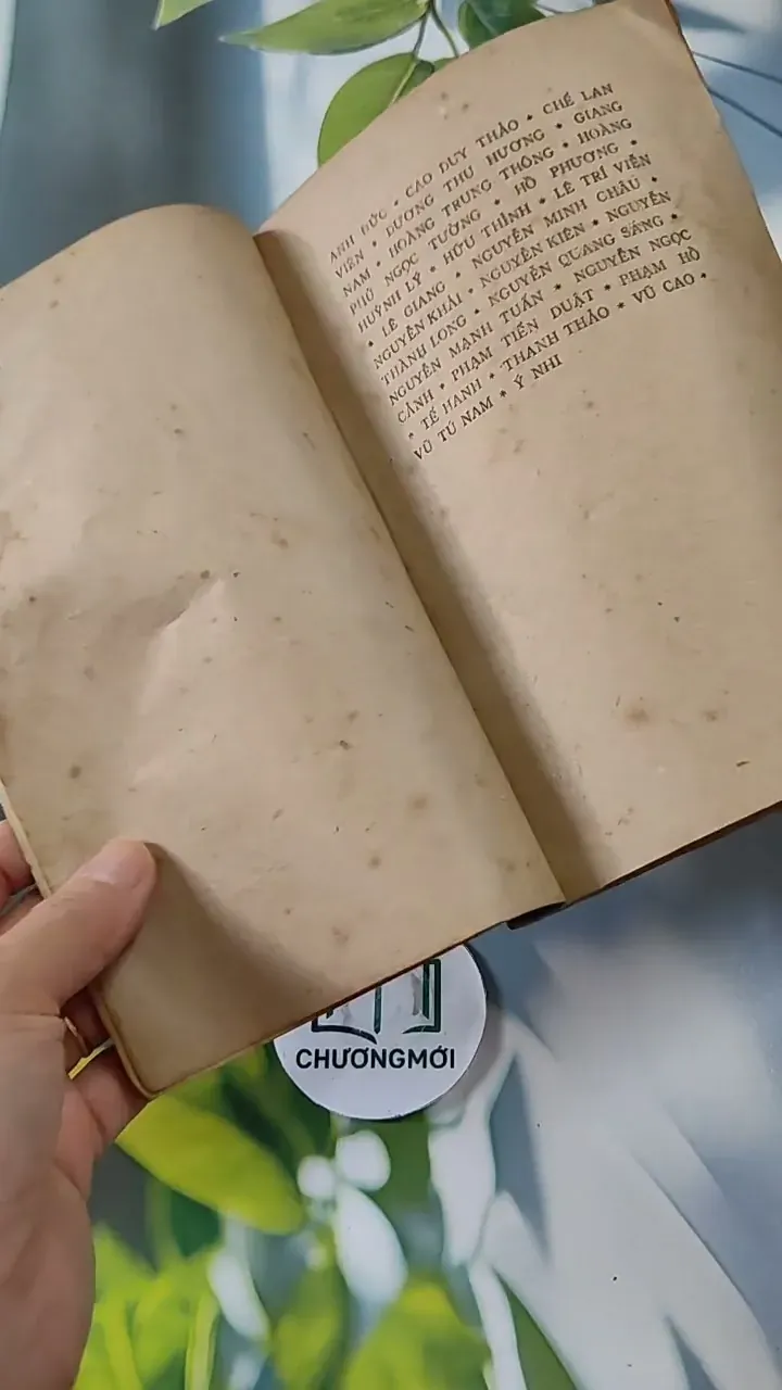 Hồi Nhỏ Các Nhà Văn Học Văn 713828