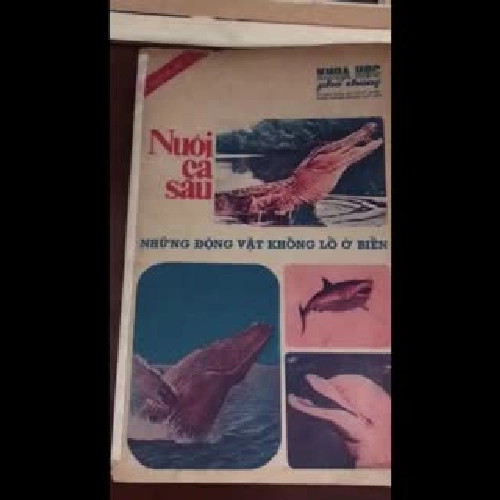 Tặng bạn khi có đơn mua sách của tiệm 417278