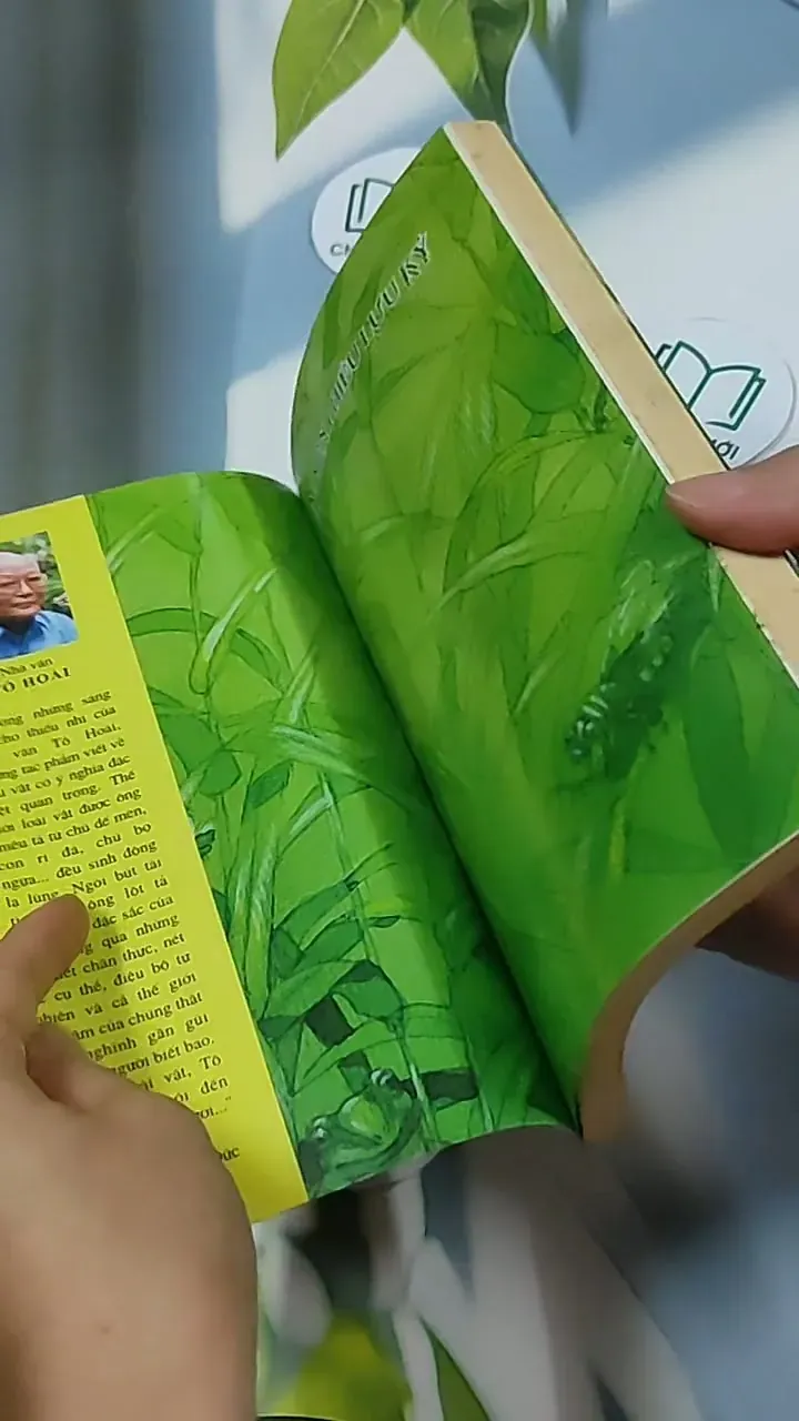 Dế Mèn phiêu lưu ký 698592