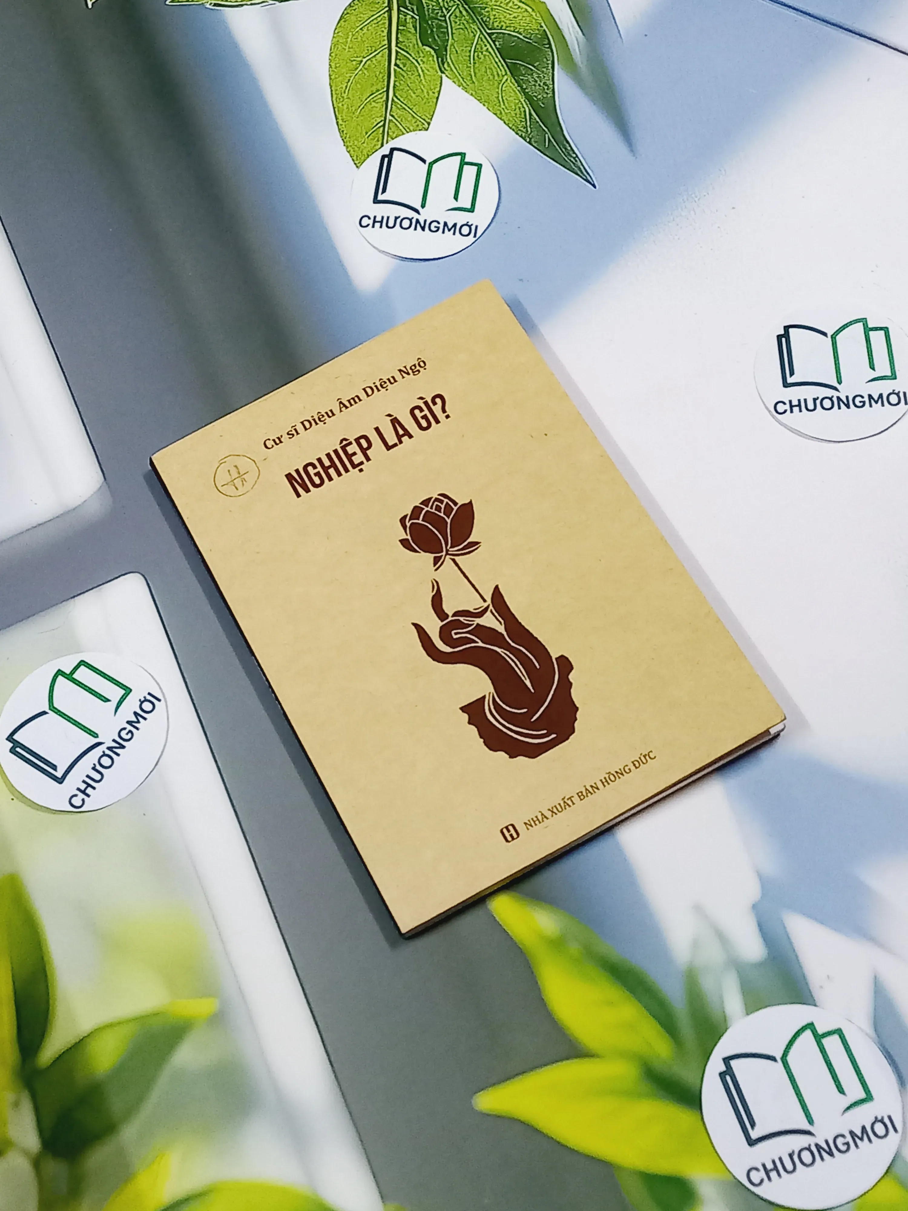 Nghiệp là gì? - Cư Sĩ Diệu Âm Diệu Ngộ