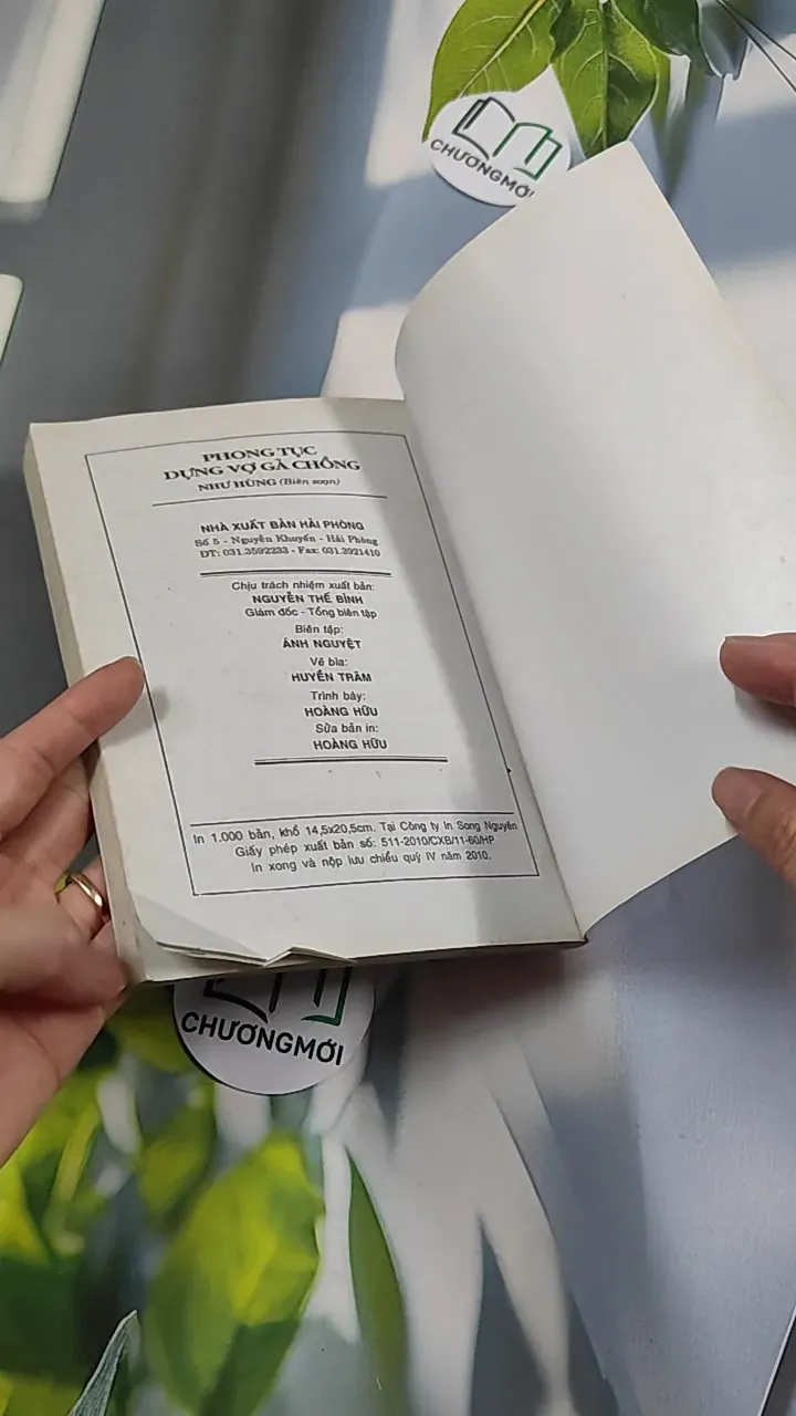 Phong Tục Dựng Vợ Gả Chồng - Như Hùng 776135