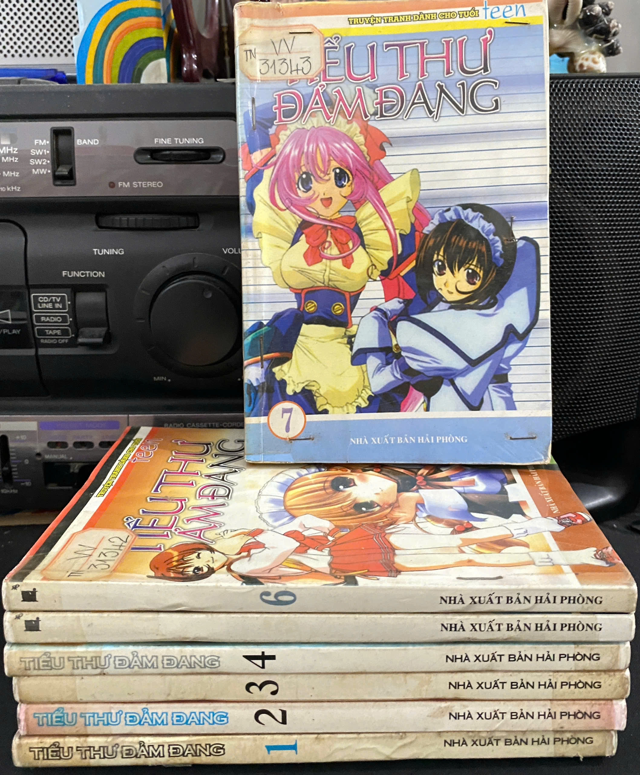 Tiểu Thư Đảm Đang