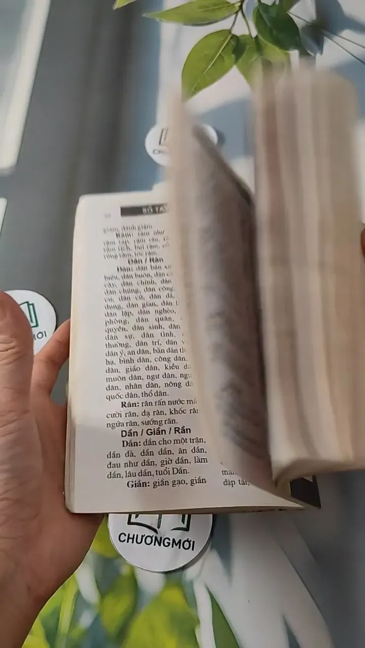 Sổ Tay Chính Tả Tiếng Việt - Ngọc - Xuân - Quỳnh 727282
