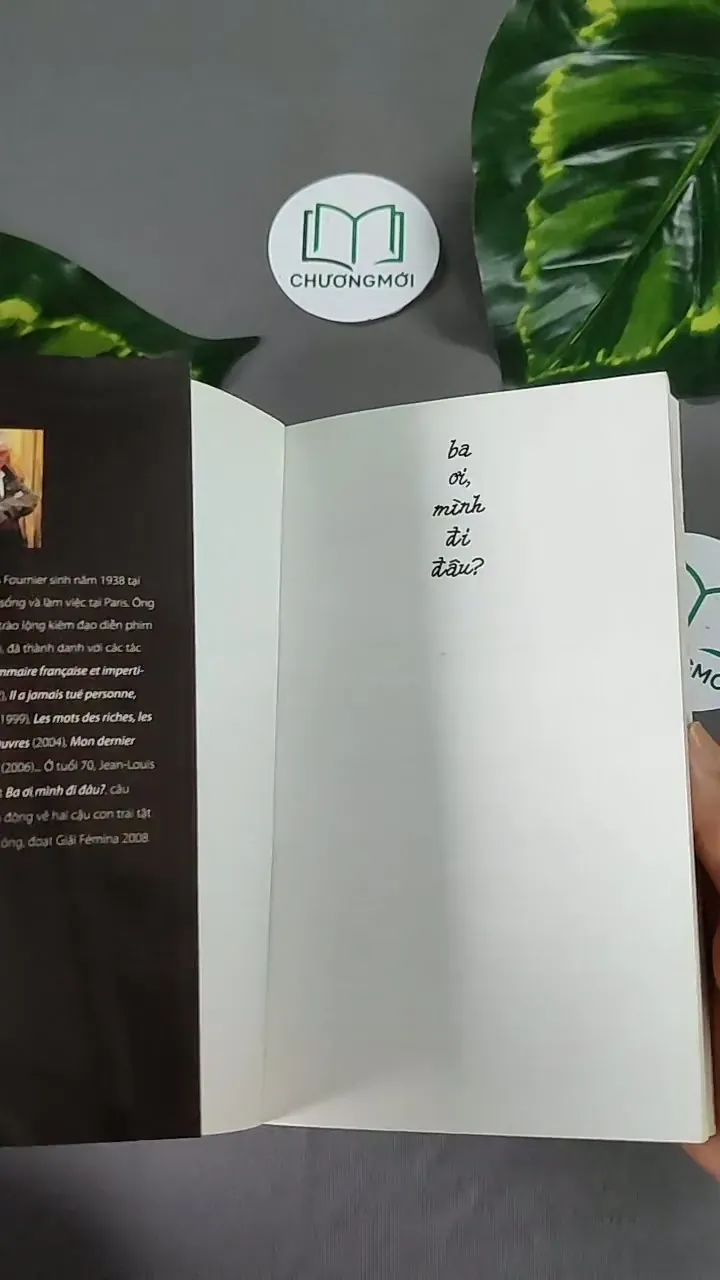 Ba ơi, mình đi đâu? - Jean-Louis Fournier 604635