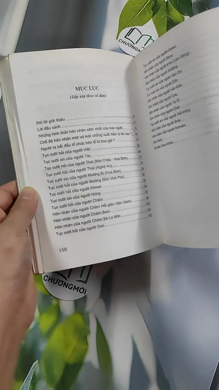 Tục Cưới Hỏi Ở Việt Nam - Bùi Xuân Mỹ - Phạm Minh Thảo 776168