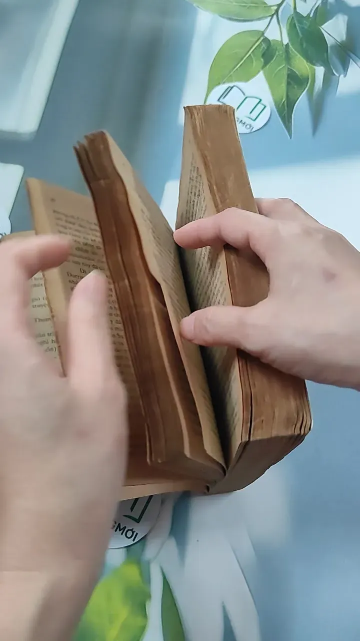 [XƯA] Ông Chủ Ballantra (1990) - Robert Louis Stevenson 776098