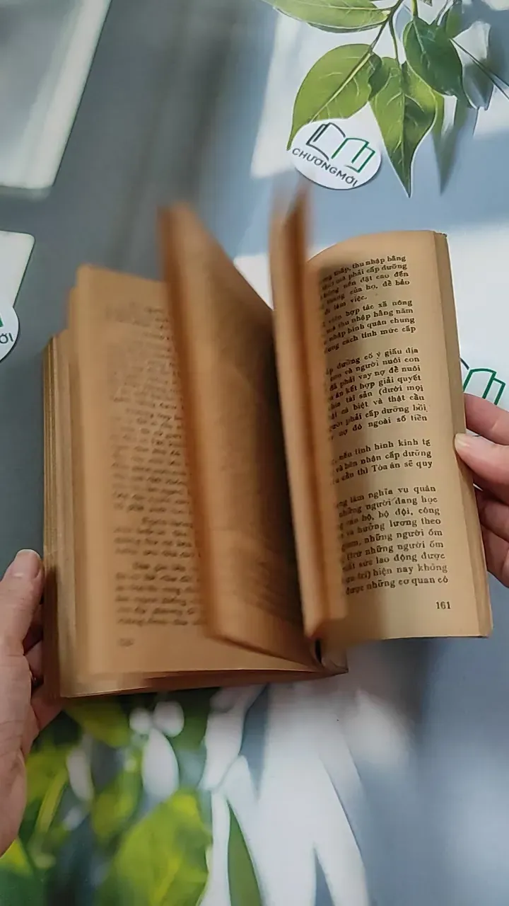 [XƯA] Luật Lệ Về Hôn Nhân Và Gia Đình (1987) 776079