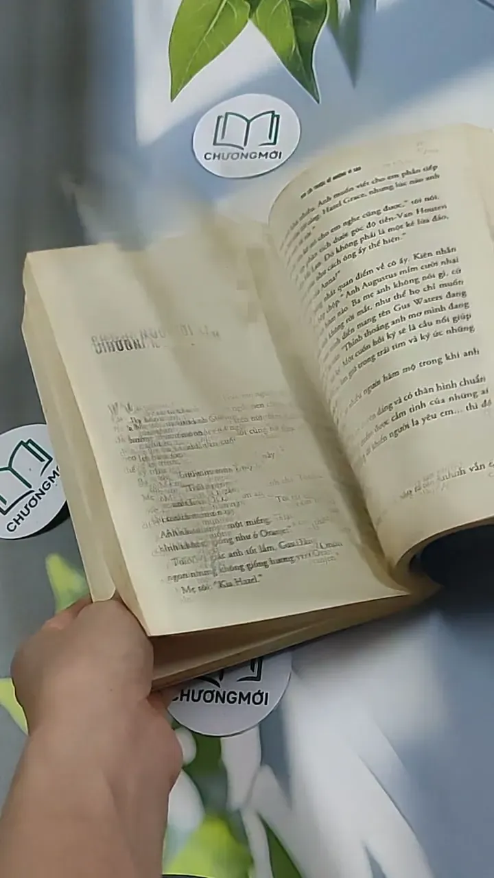 Khi lỗi thuộc về những vì sao 698577