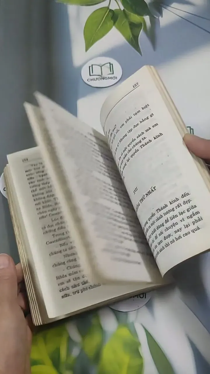 Hoa TuyLip Đen - Alexandre Dumas 715595