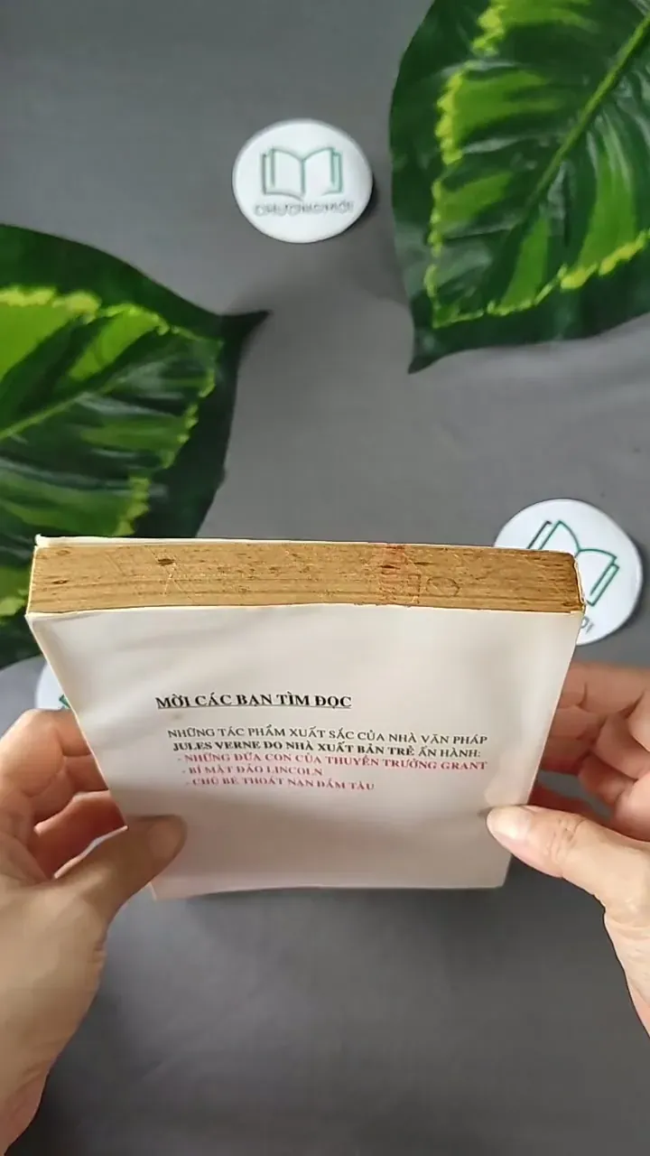 Những Đứa Con Của Thuyền Trưởng Grant (1996) - Jules Verne 604592