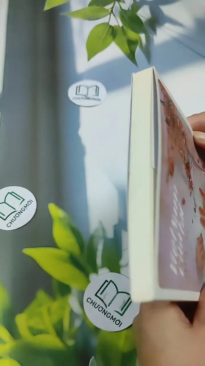 Việt Nam Của Tôi - Những Câu Chuyện Nhận Con Nuôi 705739