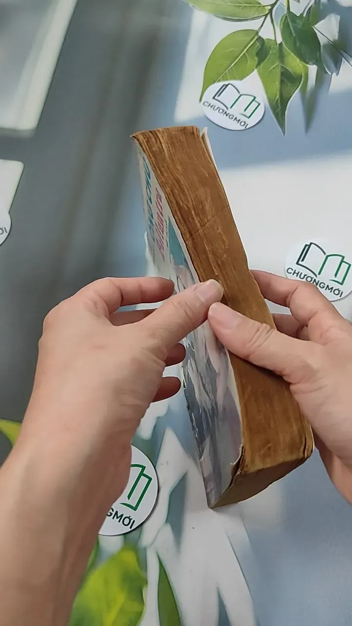 [XƯA] Ông Chủ Ballantra (1990) - Robert Louis Stevenson 776098