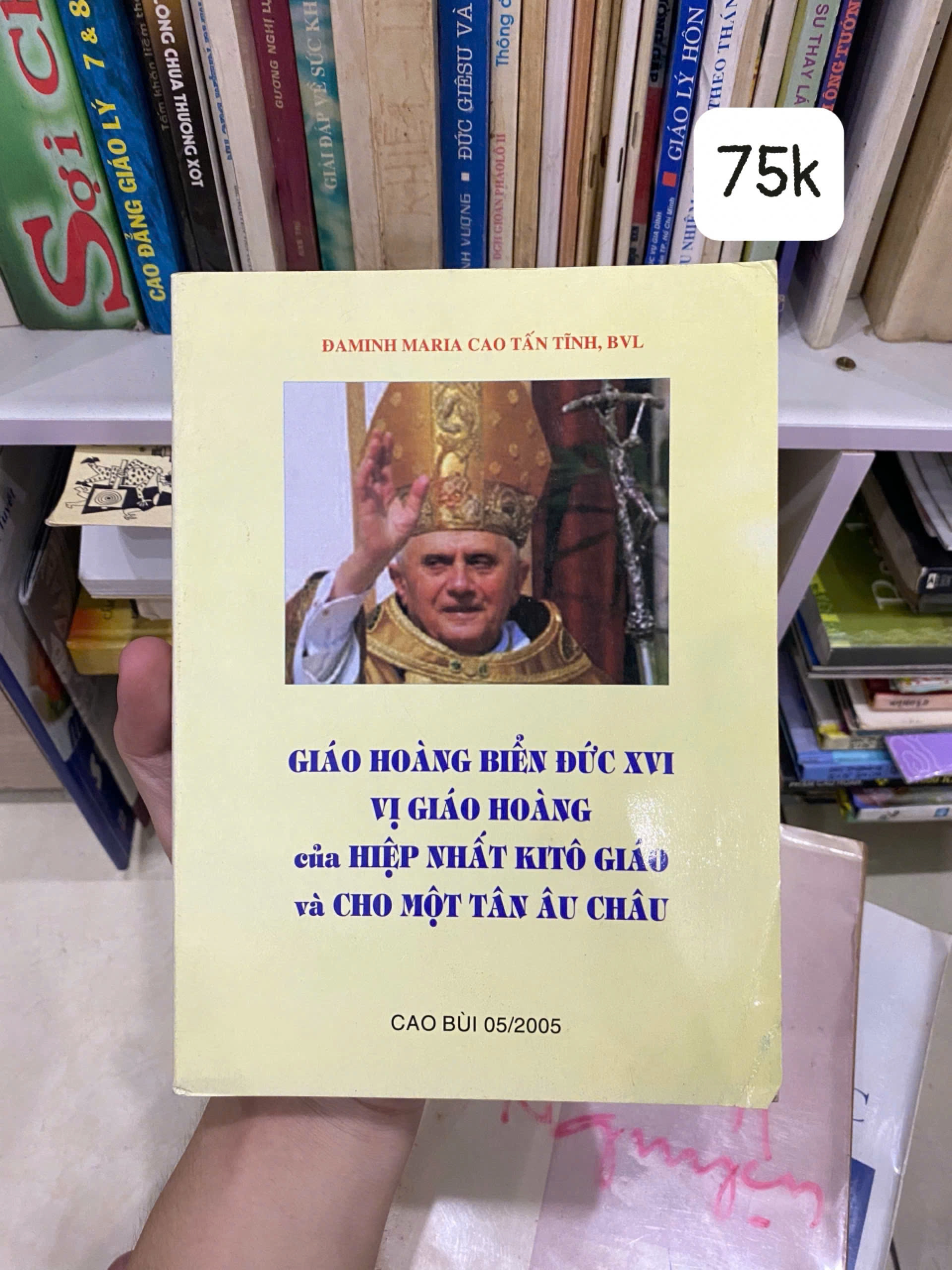 Giáo Hoàng Biển Đức XVI, Vị Giáo Hoàng của Hiệp Nhất Kito Giáo và Cho Một Tân Âu Châu by  - Sách Book Cover - Ngọc Hiển Books