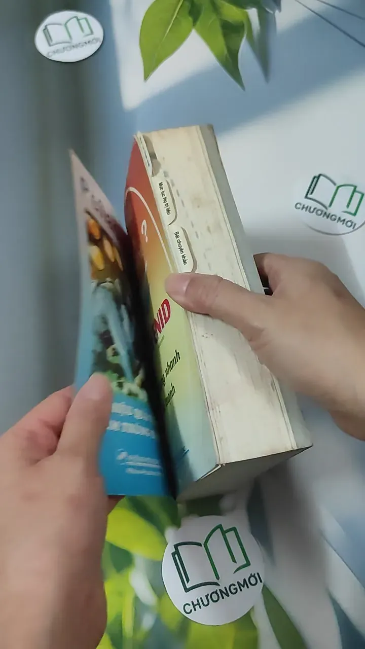 [MIỄN PHÍ BỌC SÁCH] [XƯA] Vidal Giúp Trí Nhớ 1999 (1999) 780901