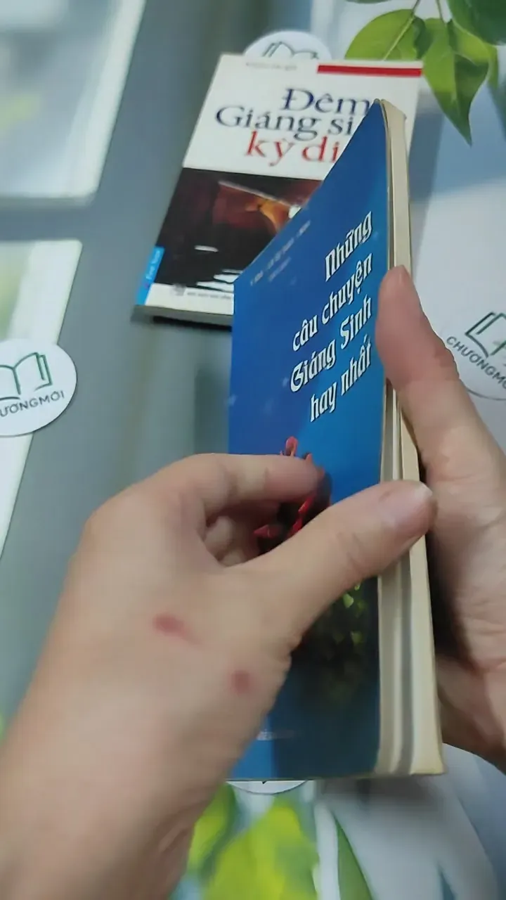 Combo Hạt Giống Tâm Hồn Quà Tặng Cuộc Sống: Giáng Sinh 727340