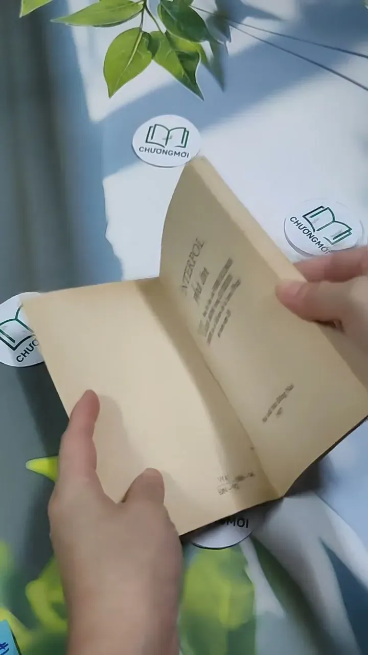 Interpol Phá Án - Minh Việt 707309